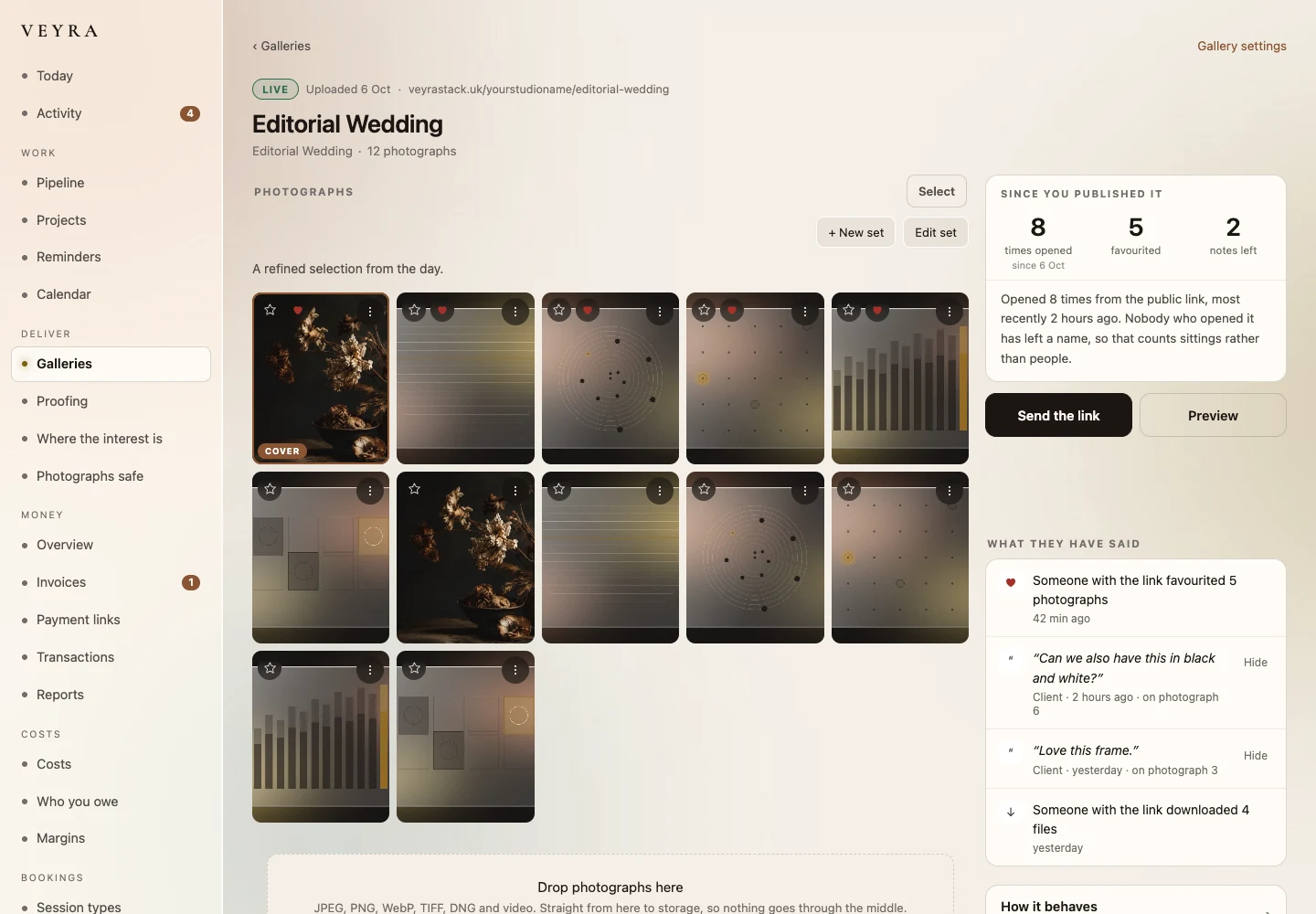 Actual Veyra gallery management screen on desktop